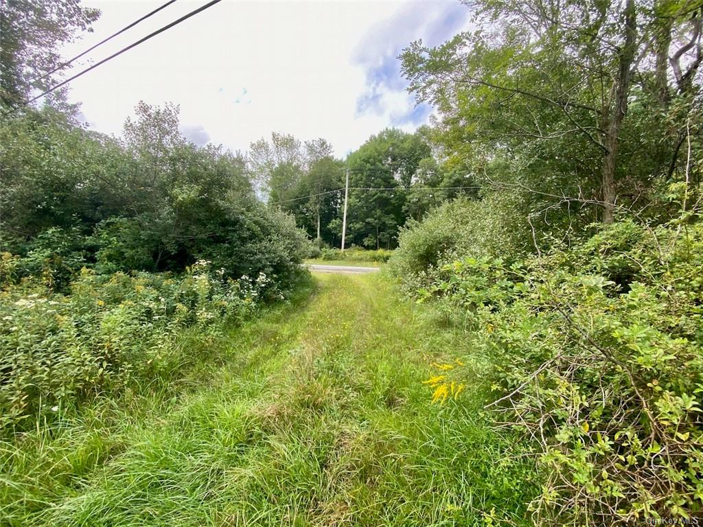 Land Moscoe  Sullivan, NY 12720, MLS-H6241893-12