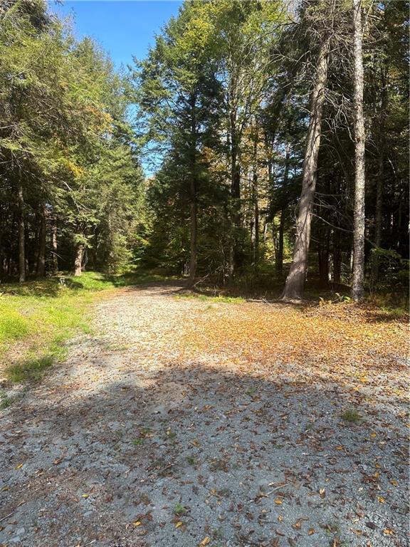 Land Eagles Ridge  Sullivan, NY 12768, MLS-H6271898-12