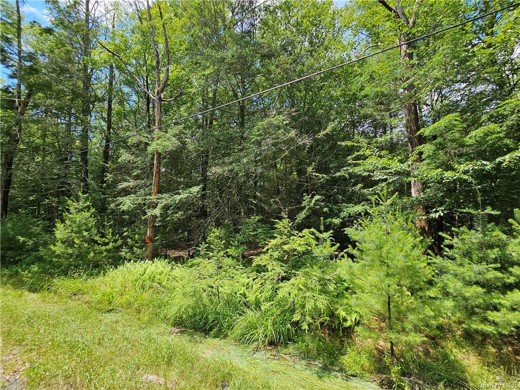 Land Barker/rowley  Sullivan, NY 12528, MLS-H6257962-12