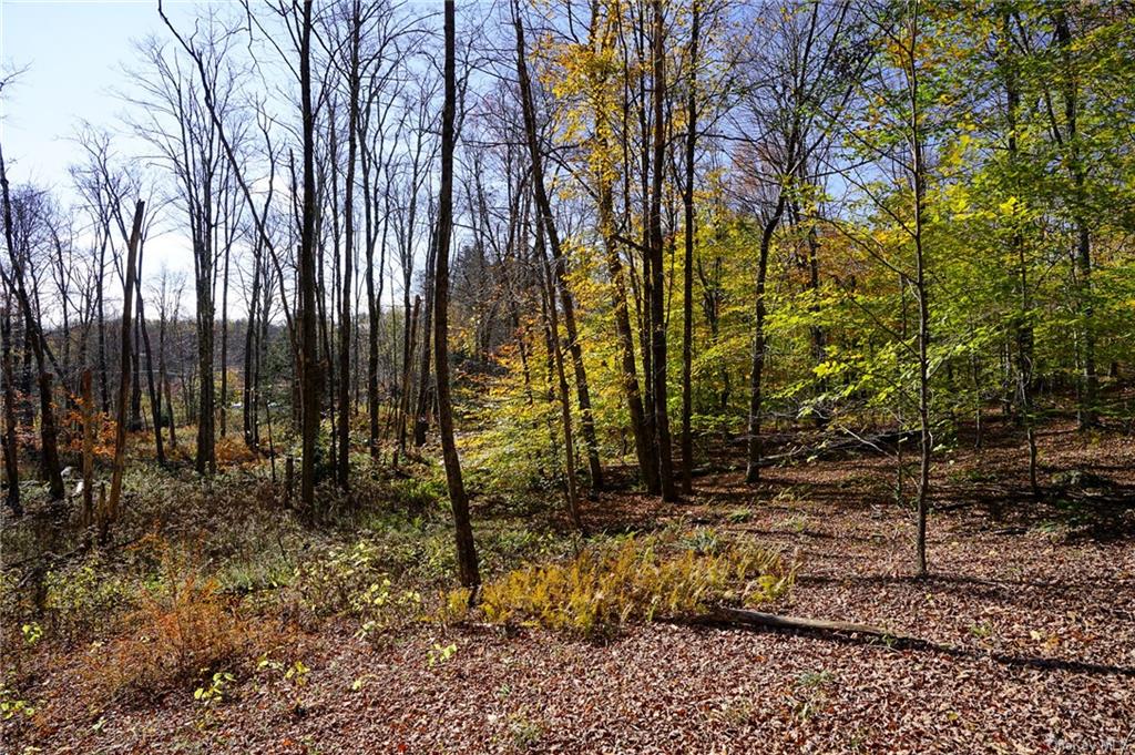 Land Amber Lake  Sullivan, NY 12758, MLS-H6150969-12