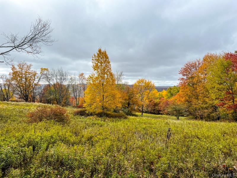 Land Debruce  Sullivan, NY 12758, MLS-H6214984-12