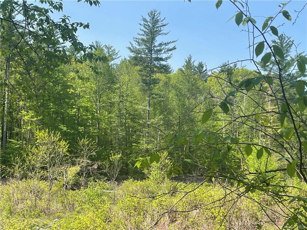 Land Creek Side  Ulster, NY 12480, MLS-H6228986-12