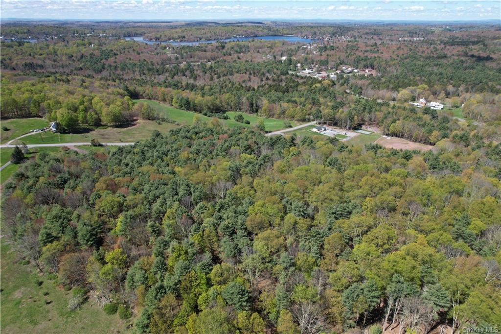 Land Royce  Sullivan, NY 12720, MLS-H6245995-12