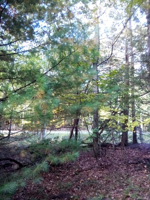 Land Mount Vernon  Sullivan, NY 12790, MLS-H6215998-12