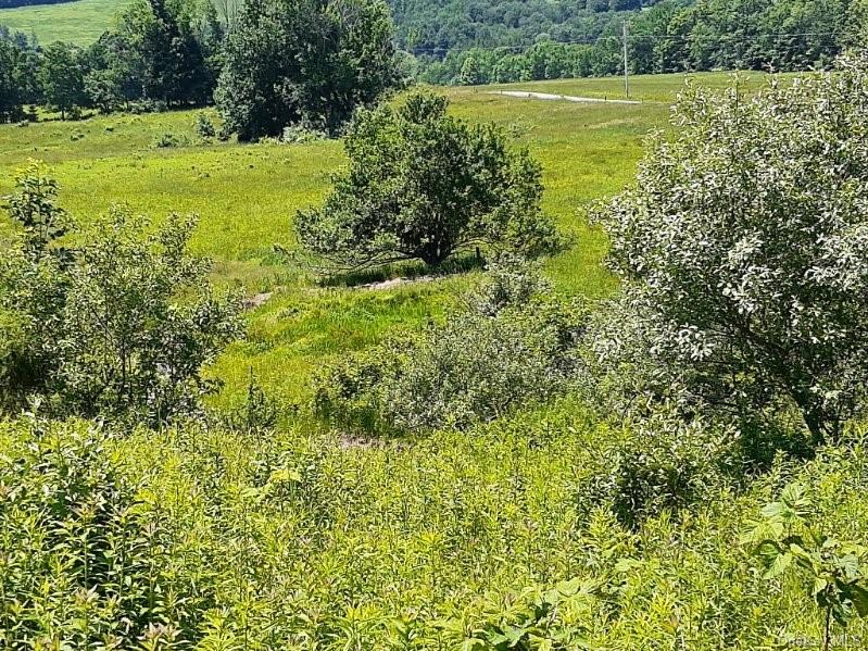 Land Beechwoods  Sullivan, NY 12723, MLS-H6264013-13