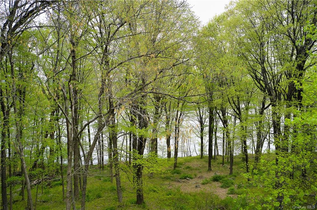 Land Beaver Pond  Rockland, NY 10980, MLS-H6246059-13