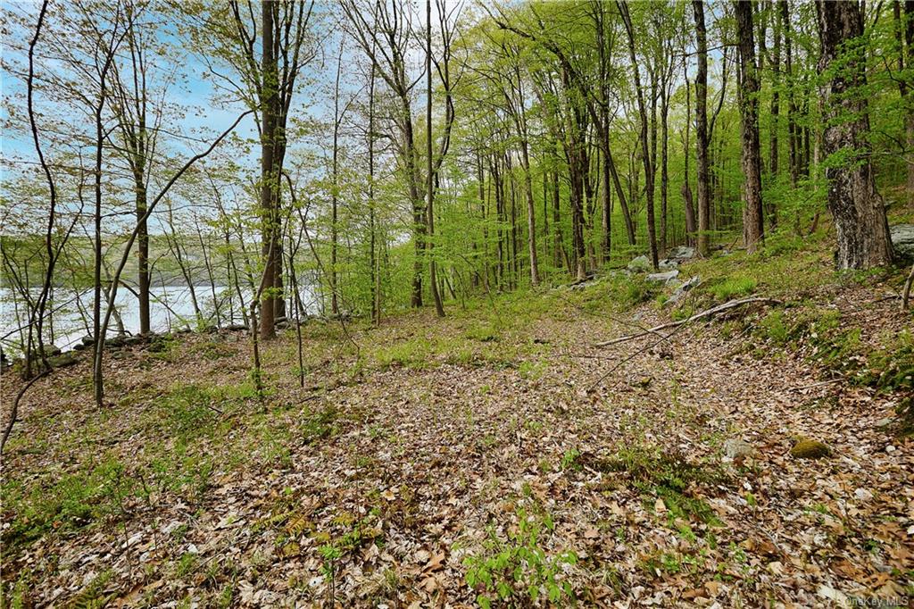 Land Pierson Lakes  Rockland, NY 10974, MLS-H6246069-13