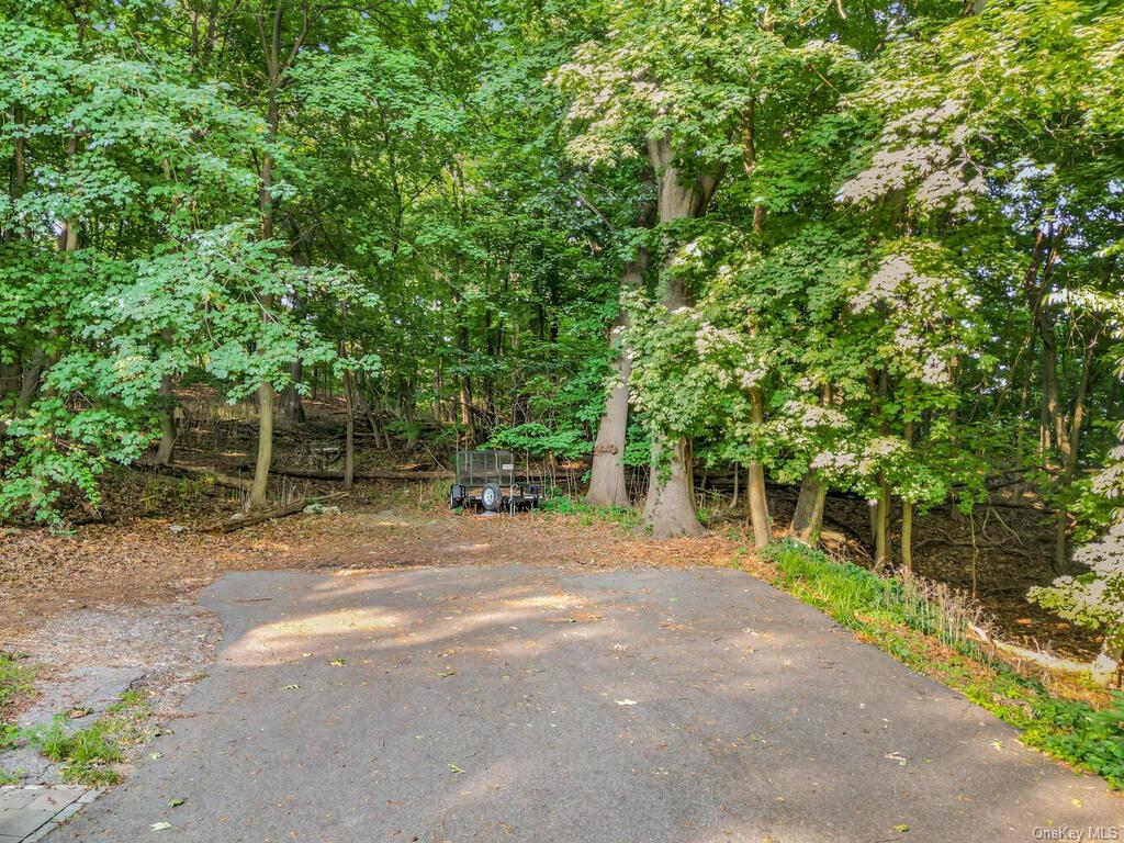 Land Dickinson  Westchester, NY 10703, MLS-H6264120-13