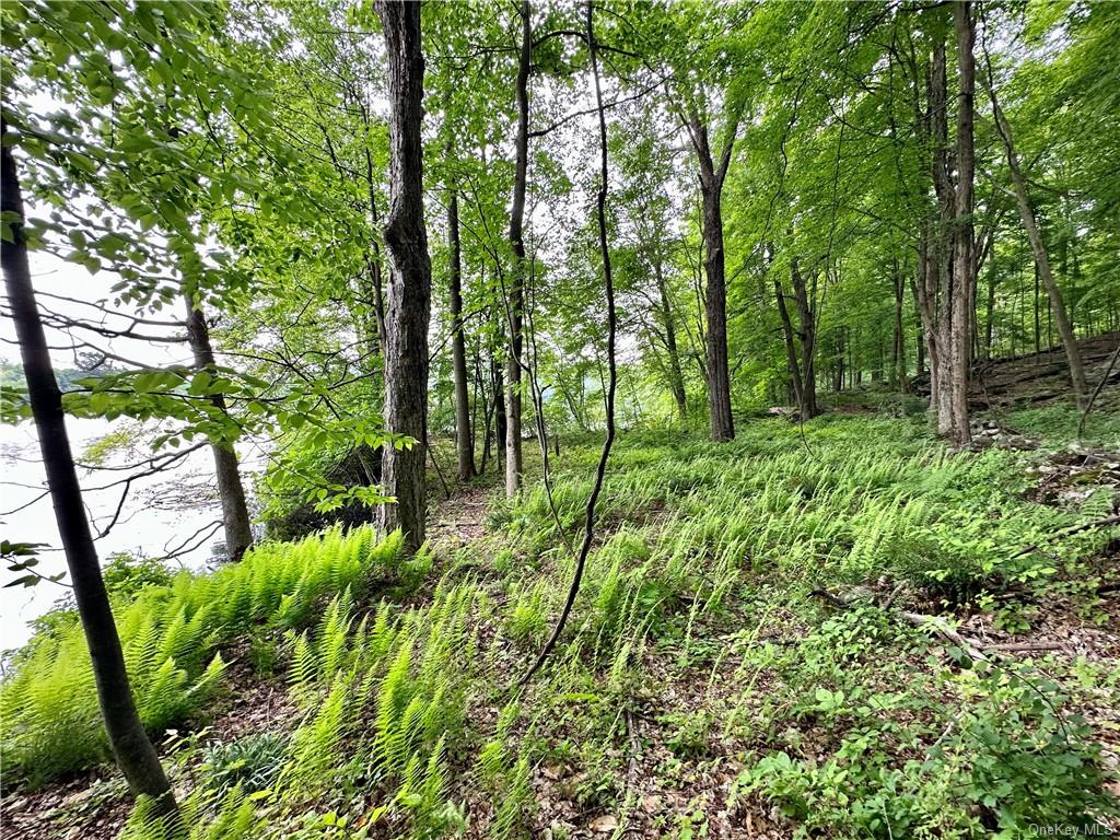 Land Pierson Lakes  Rockland, NY 10974, MLS-H6255156-13