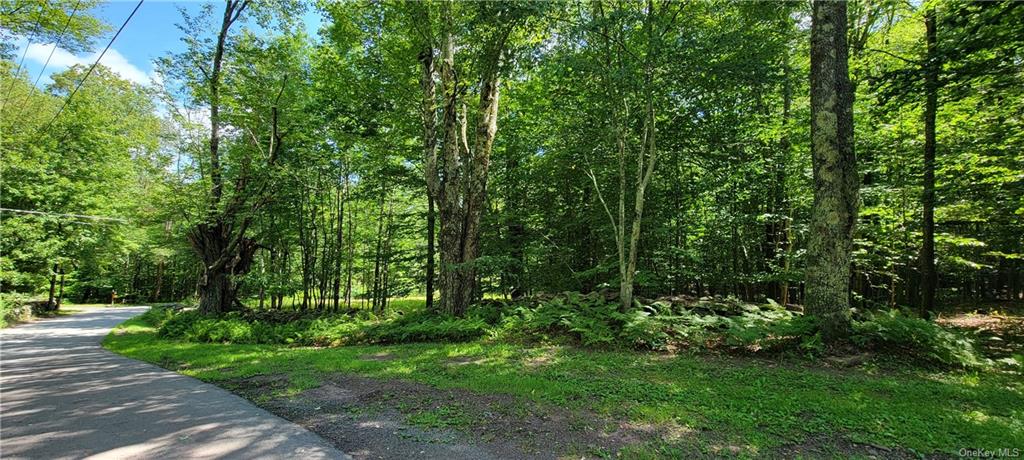 Land Westervelt  Sullivan, NY 12726, MLS-H6264186-13