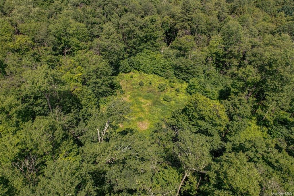 Land N/s French Clearing  Sullivan, NY 12777, MLS-H6195187-13