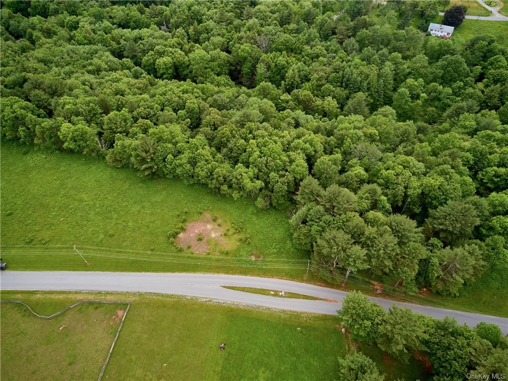 Land Chapin  Sullivan, NY 12720, MLS-H6204195-13