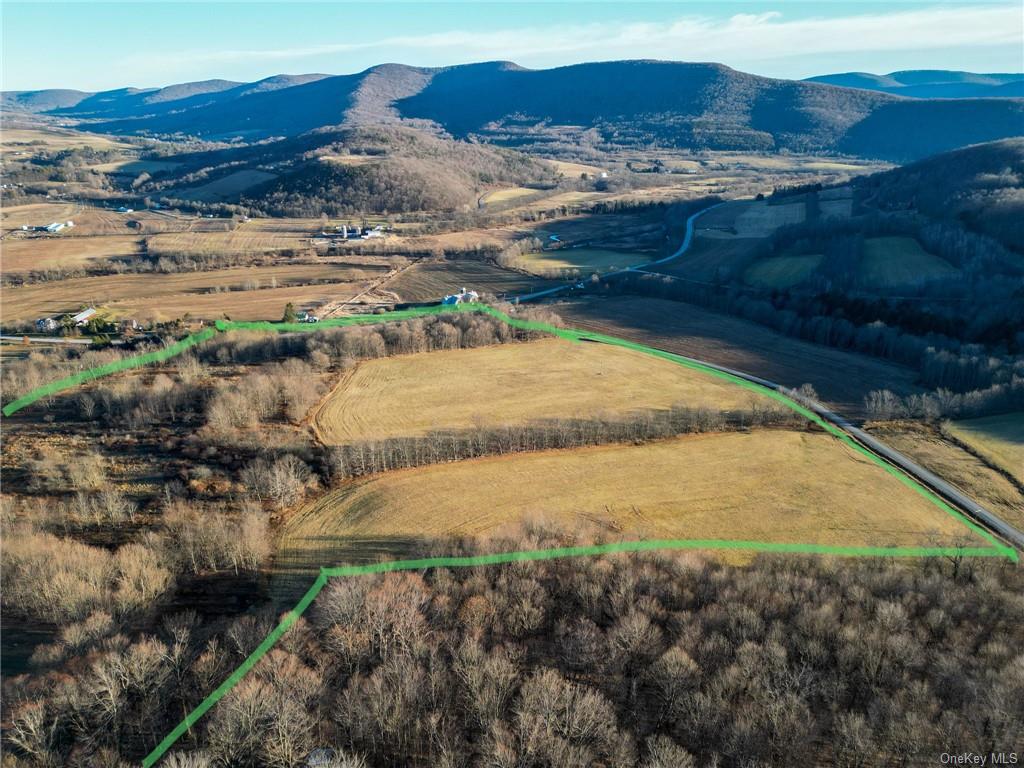 Land Mcmurdy Brook  Delaware, NY 13788, MLS-H6227237-13
