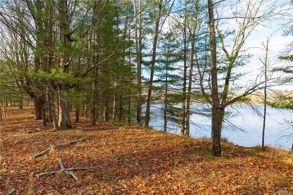 Land Lake  Dutchess, NY 12567, MLS-H6280278-13