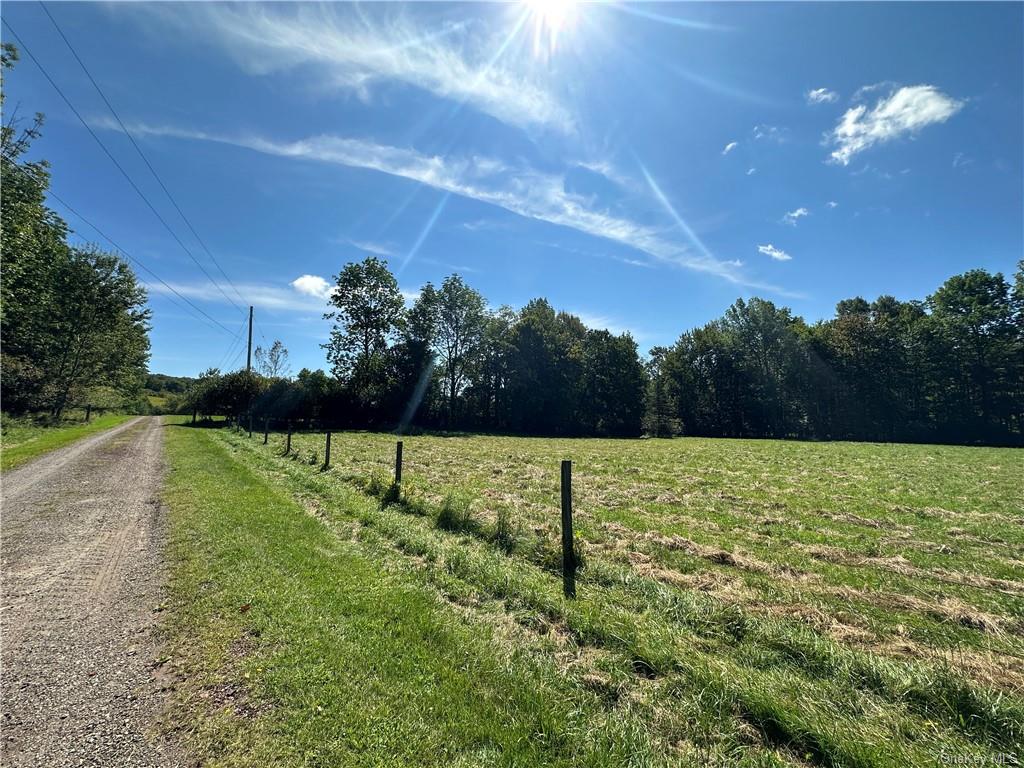 Land Menges  Sullivan, NY 12791, MLS-H6268308-13