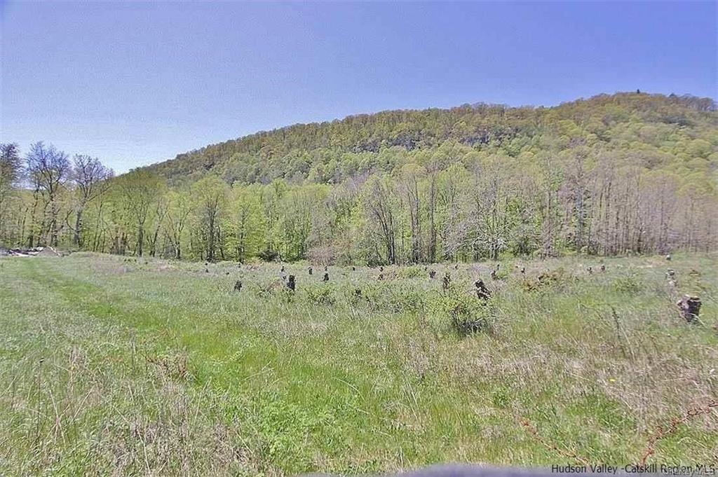 Land Esopus  Ulster, NY 12487, MLS-H6273308-13