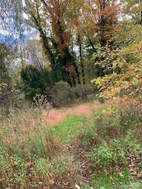 Land Route 209  Ulster, NY 12404, MLS-H6151324-13