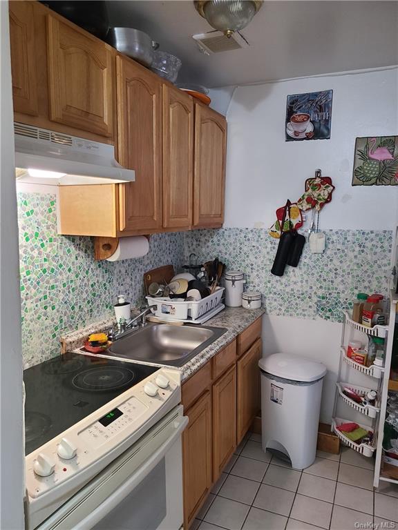 Single Family Sherman  Bronx, NY 10456, MLS-H6246355-13