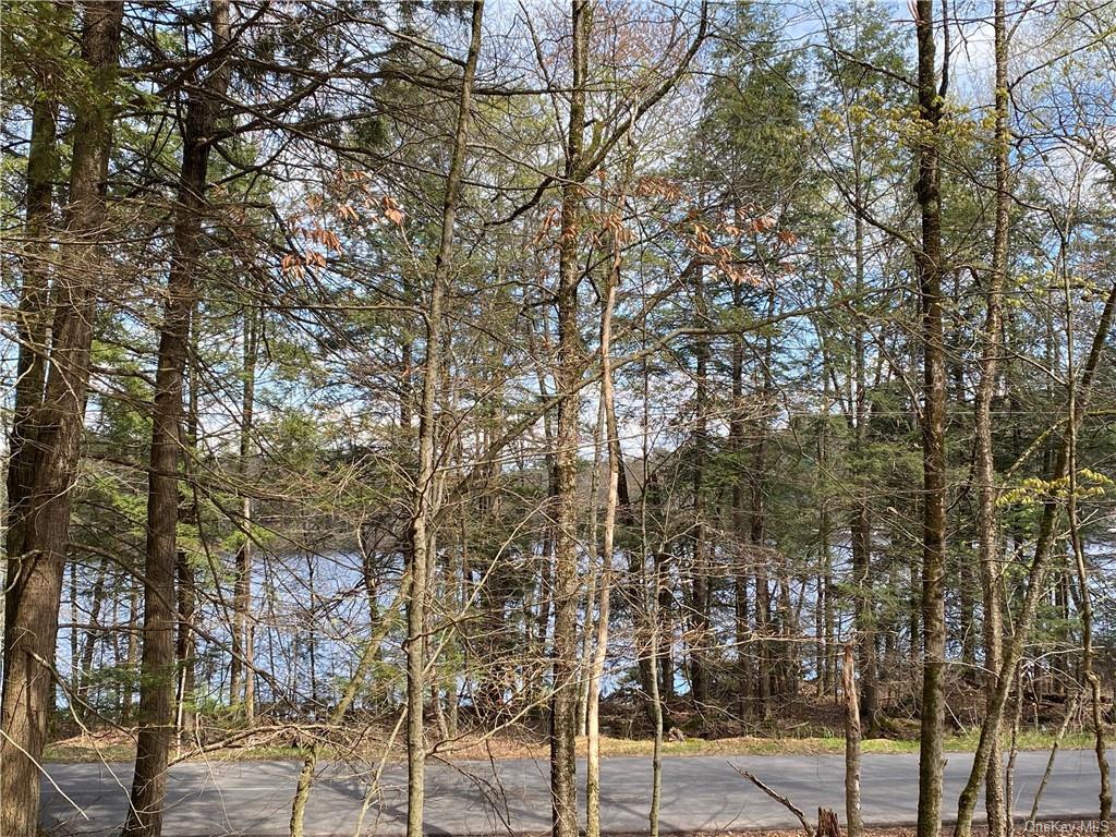 Land Lakeshore  Sullivan, NY 12778, MLS-H6202359-13