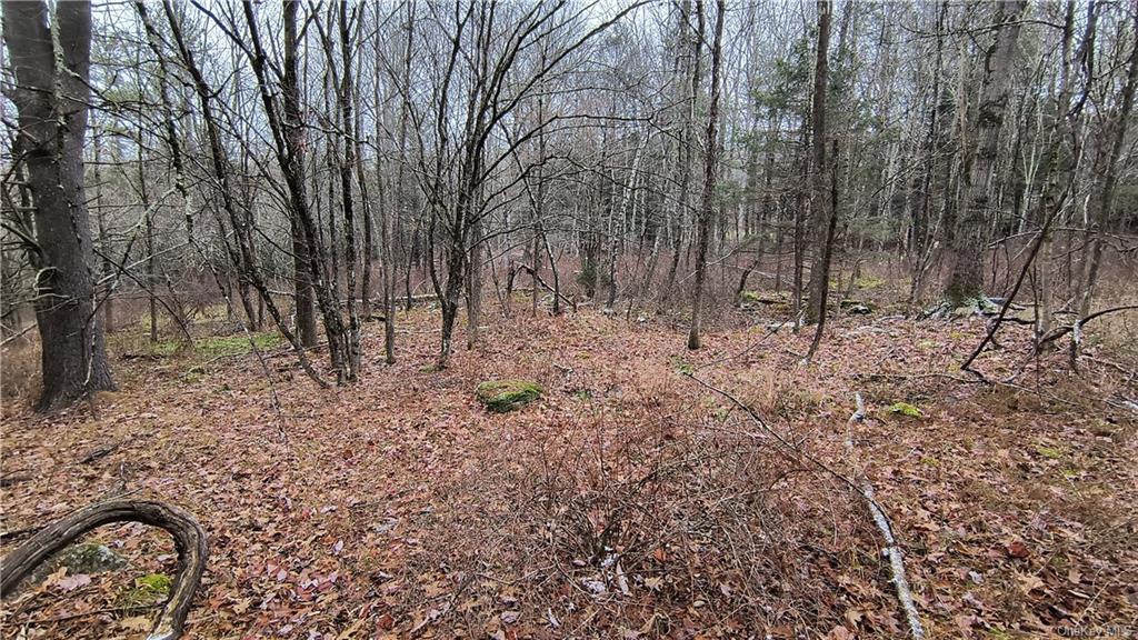 Land New Turnpike A  Sullivan, NY 12726, MLS-H6281364-13