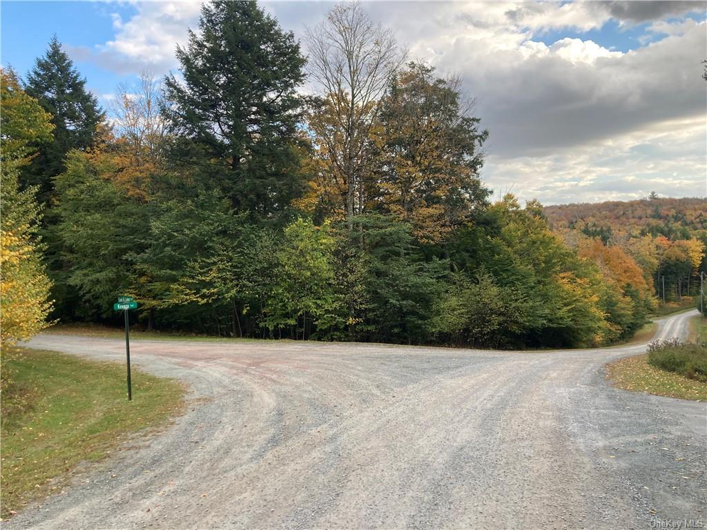 Land Kenoza  Sullivan, NY 12750, MLS-H6271468-13