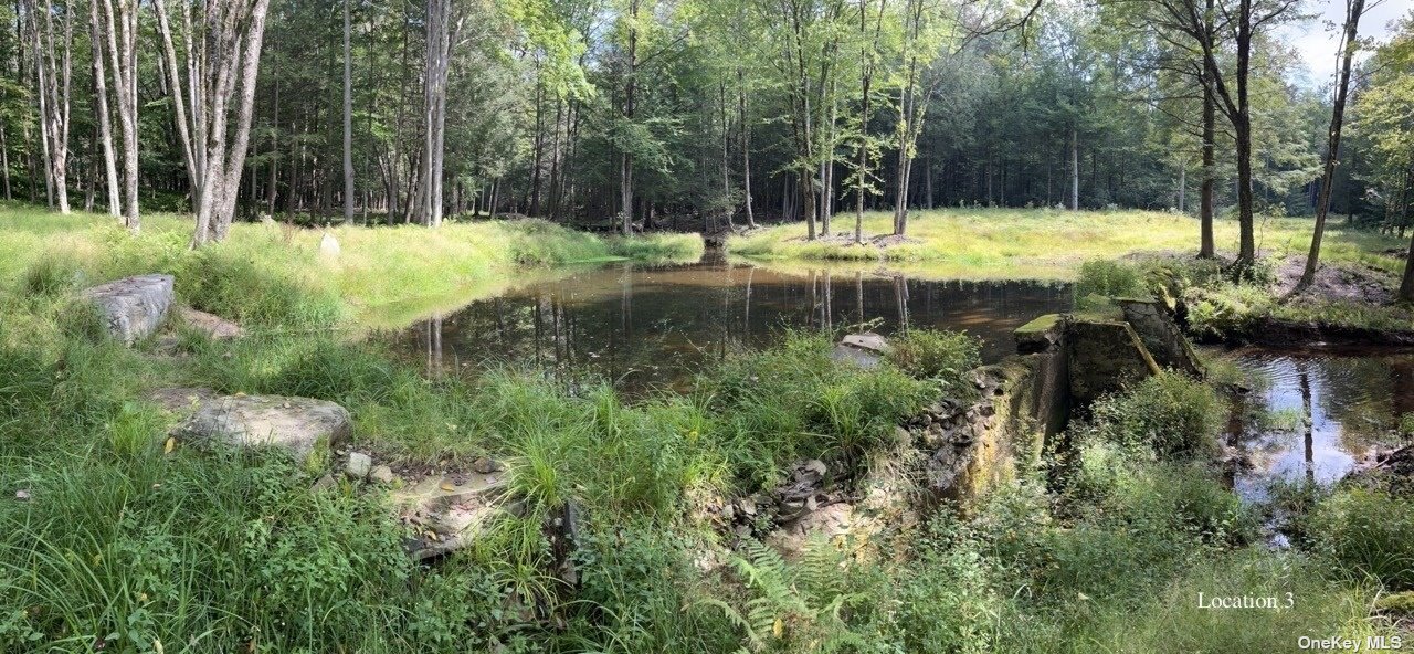 Land Tanzman  Sullivan, NY 12768, MLS-3506472-13