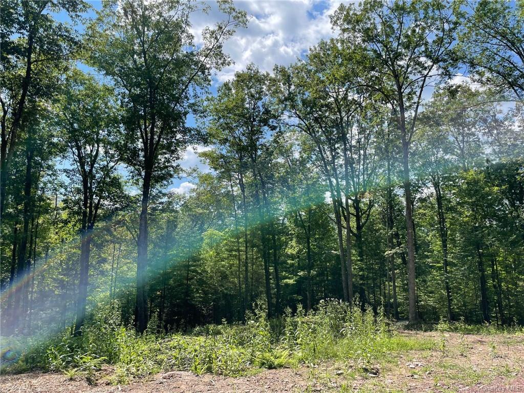 Land Naomi Dr / State Route 97  Sullivan, NY 12726, MLS-H6267505-13