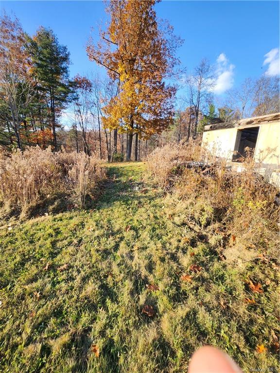 Land Smith  Out Of Area, NY 12469, MLS-H6278519-13