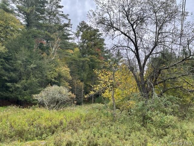 Land Chapin  Sullivan, NY 12720, MLS-H6273528-13