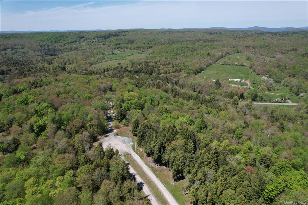 Land Eagles Ridge  Sullivan, NY 12768, MLS-H6232574-13