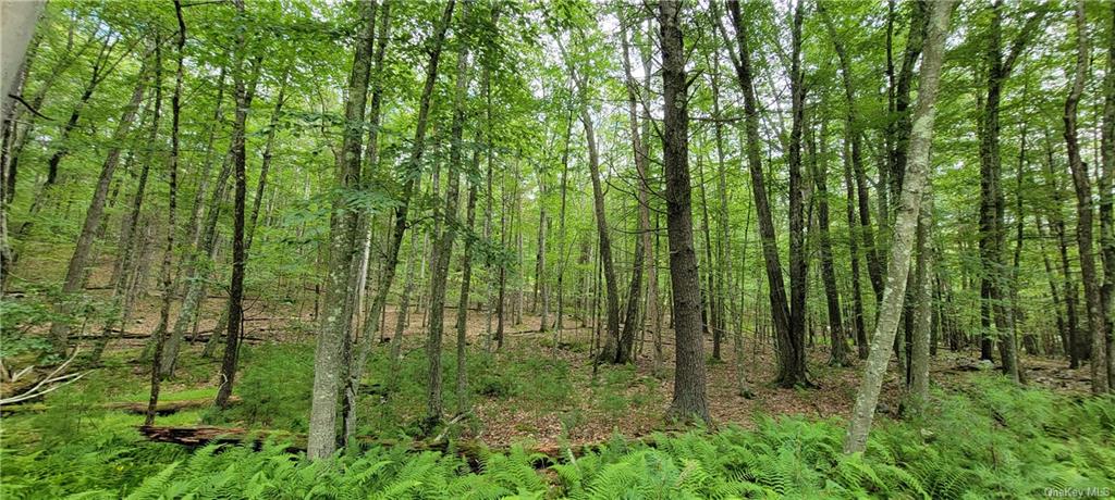 Land Hawks Nest  Out Of Area, NY 18428, MLS-H6265593-13
