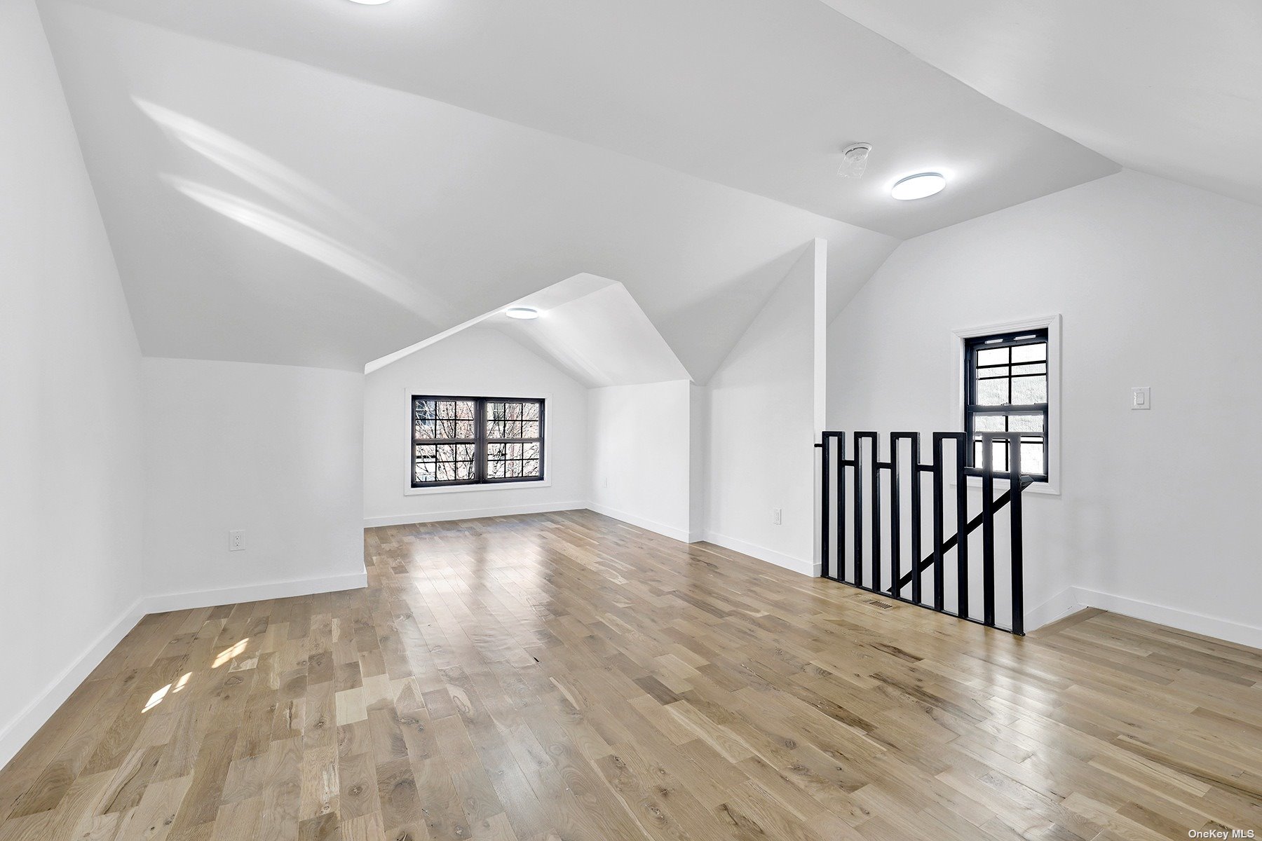 Single Family Cortelyou  Brooklyn, NY 11226, MLS-3504602-13