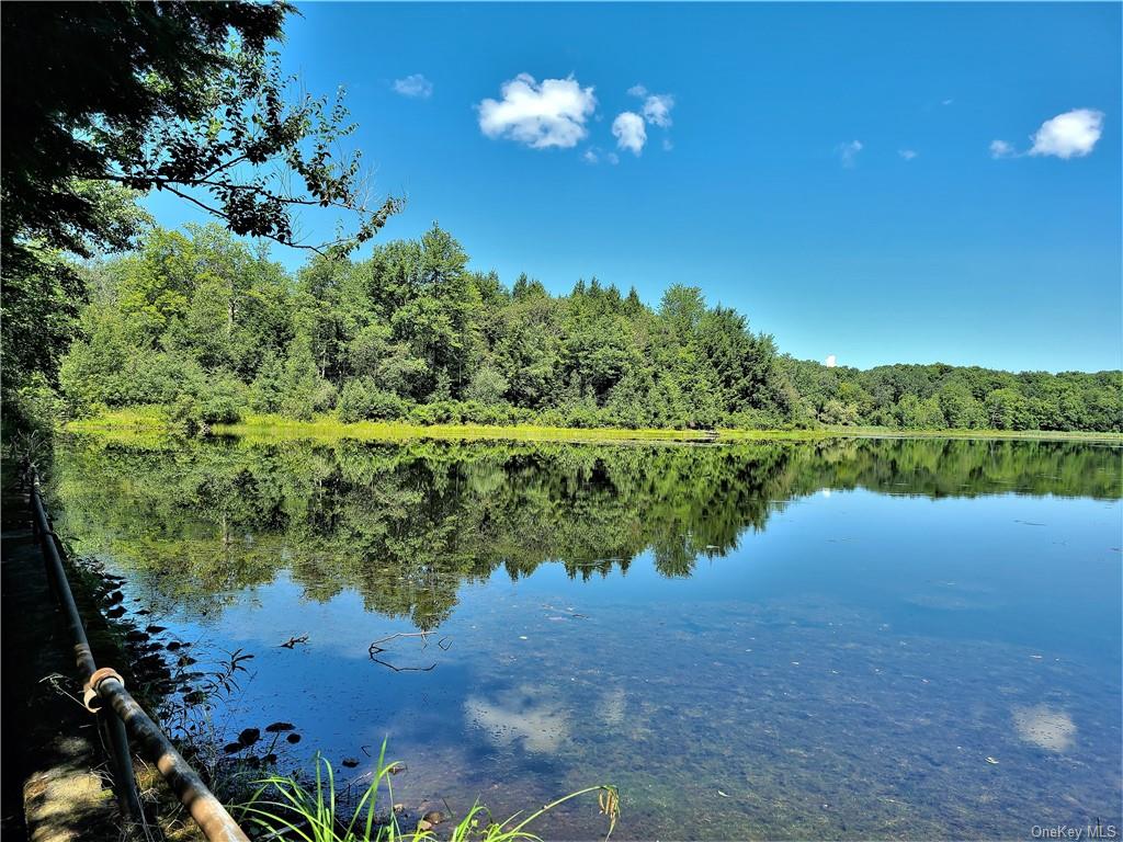 Land Beaver Lake  Sullivan, NY 12758, MLS-H6232604-13