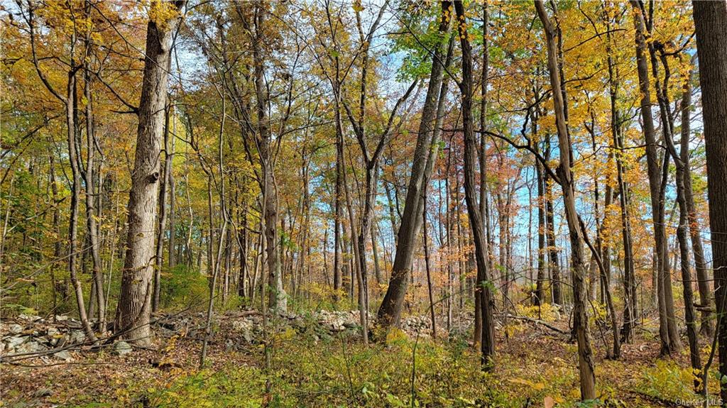 Land Western  Orange, NY 12586, MLS-H6275607-13