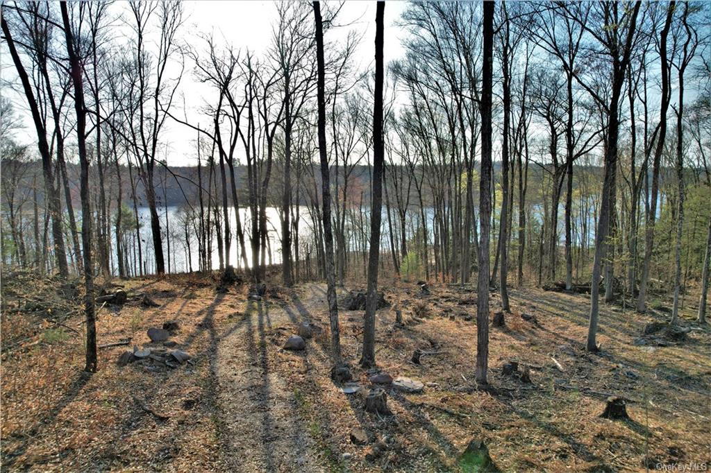 Land Plank  Sullivan, NY 12777, MLS-H6266634-13