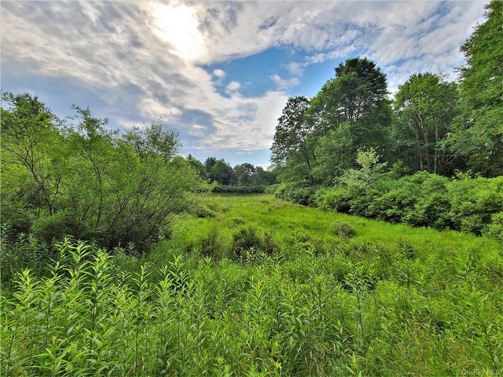 Land Mitchell  Sullivan, NY 12786, MLS-H6243649-13