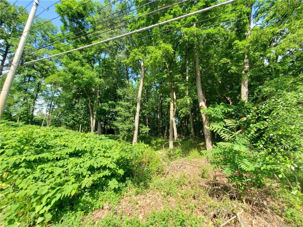 Land Us 9w (n. Highland Ave.)  Rockland, NY 10960, MLS-H6254656-13