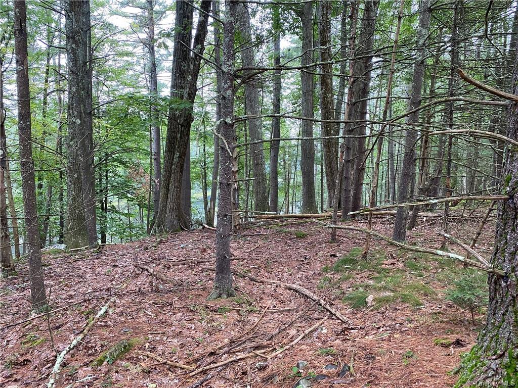 Land Stag Forest  Sullivan, NY 12777, MLS-H6268672-13