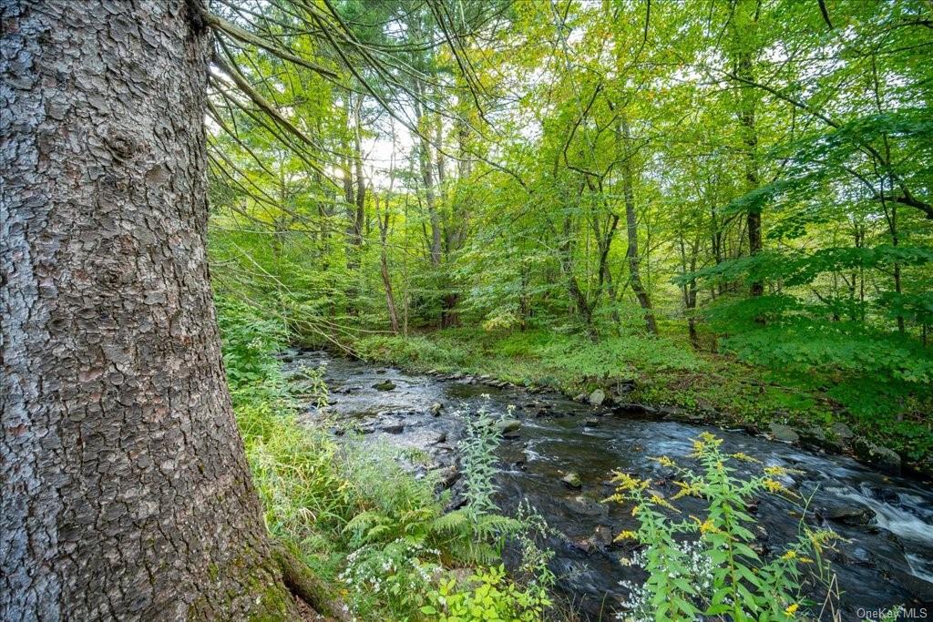 Land Old Liberty  Sullivan, NY 12758, MLS-H6269690-13