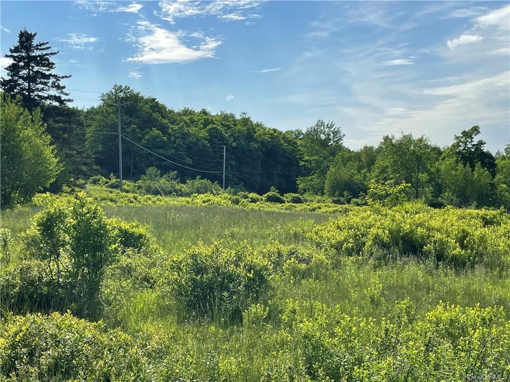 Land Tanzman  Sullivan, NY 12768, MLS-H6123698-13