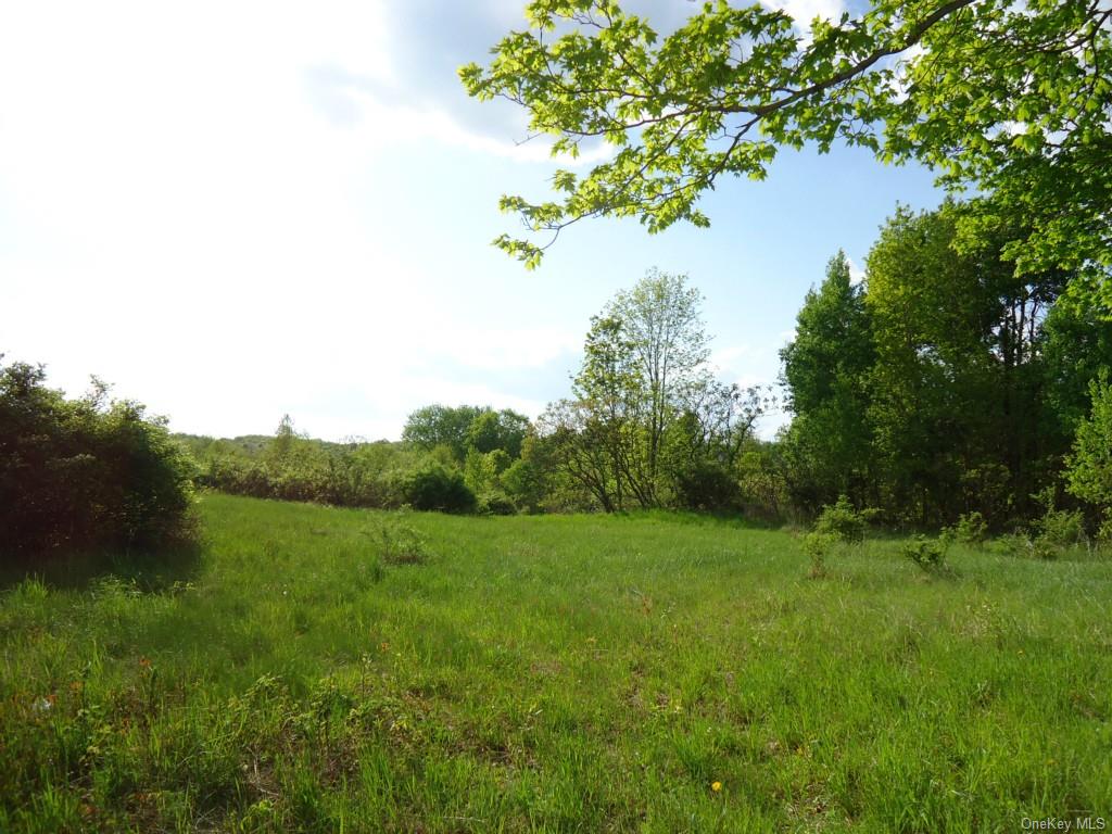 Land Crescent/pancake Hollow  Ulster, NY 12528, MLS-H6259698-13