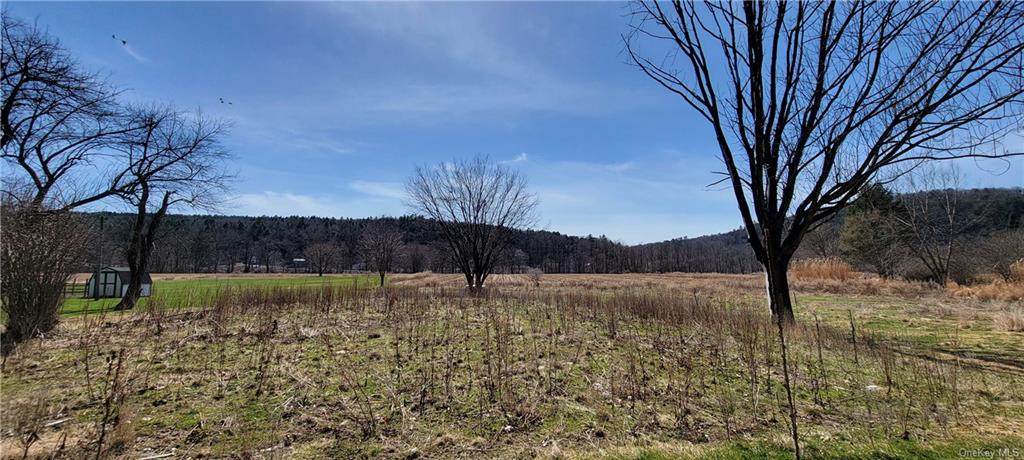 Land Cochecton  Sullivan, NY 12726, MLS-H6177700-13