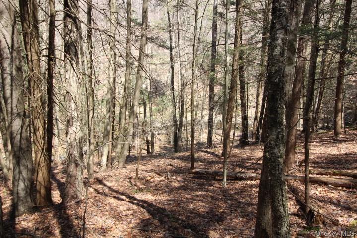 Land Cattail  Sullivan, NY 12758, MLS-H6244708-13