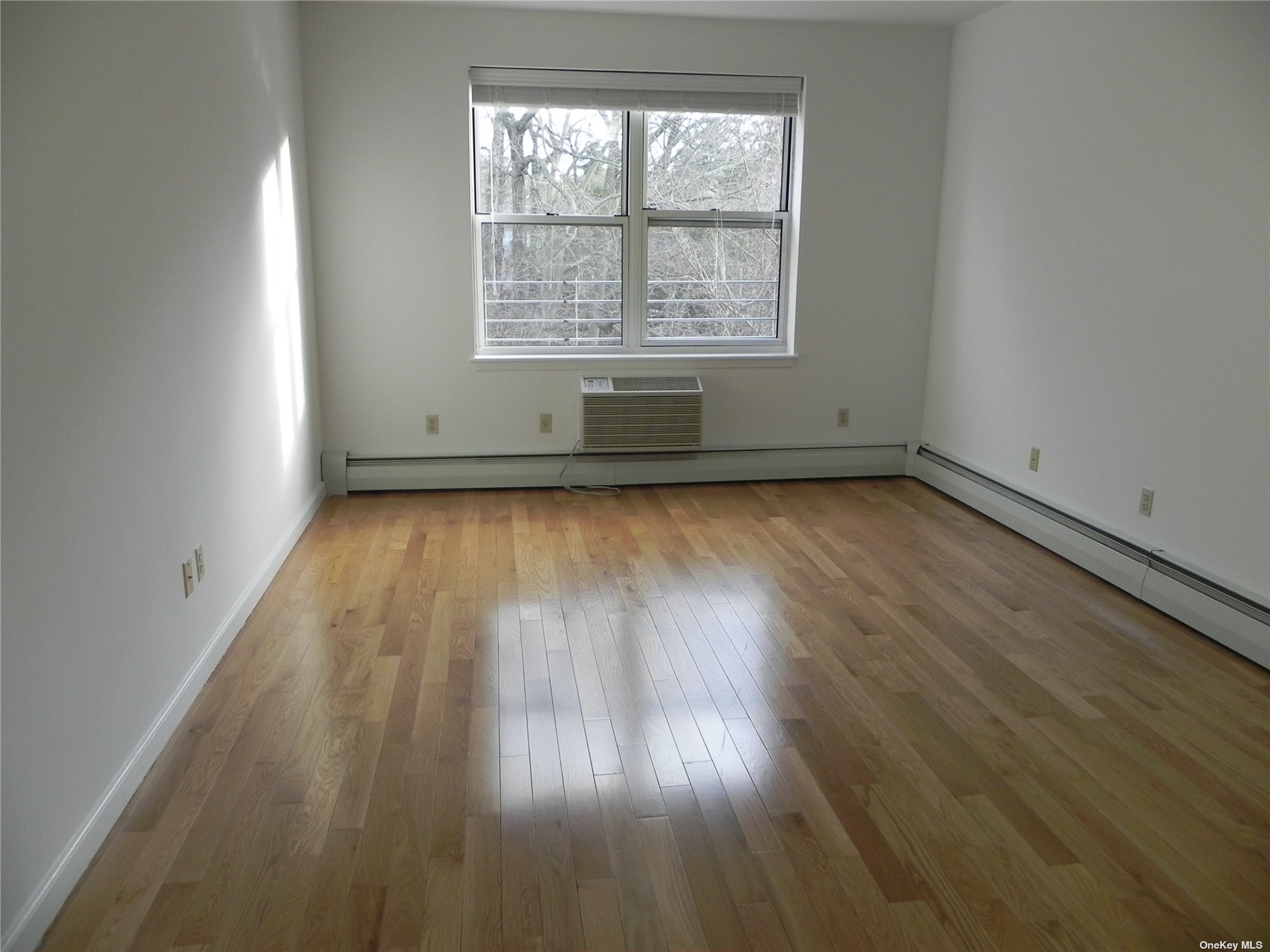 Apartment Knightsbridge  Nassau, NY 11021, MLS-3517711-13