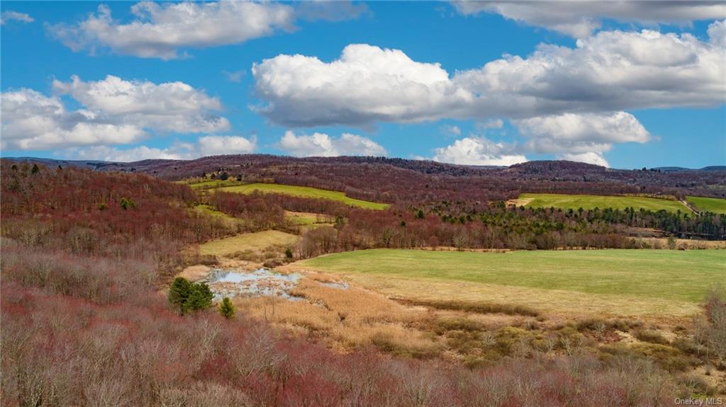 Land Peters  Sullivan, NY 12736, MLS-H6256722-13