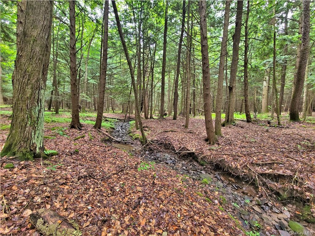 Land Goldsmith  Sullivan, NY 12783, MLS-H6258729-13