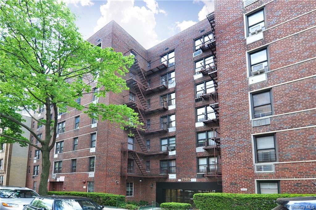 Apartment Matthews  Bronx, NY 10462, MLS-H6256732-13