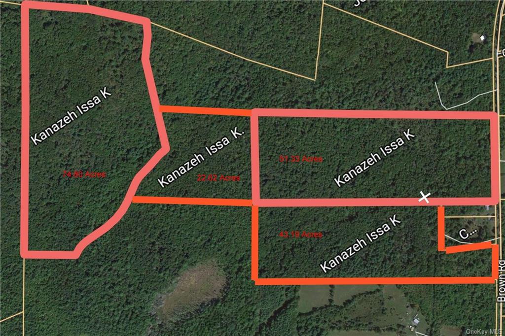 Land Brown  Ulster, NY 12489, MLS-H6211737-13