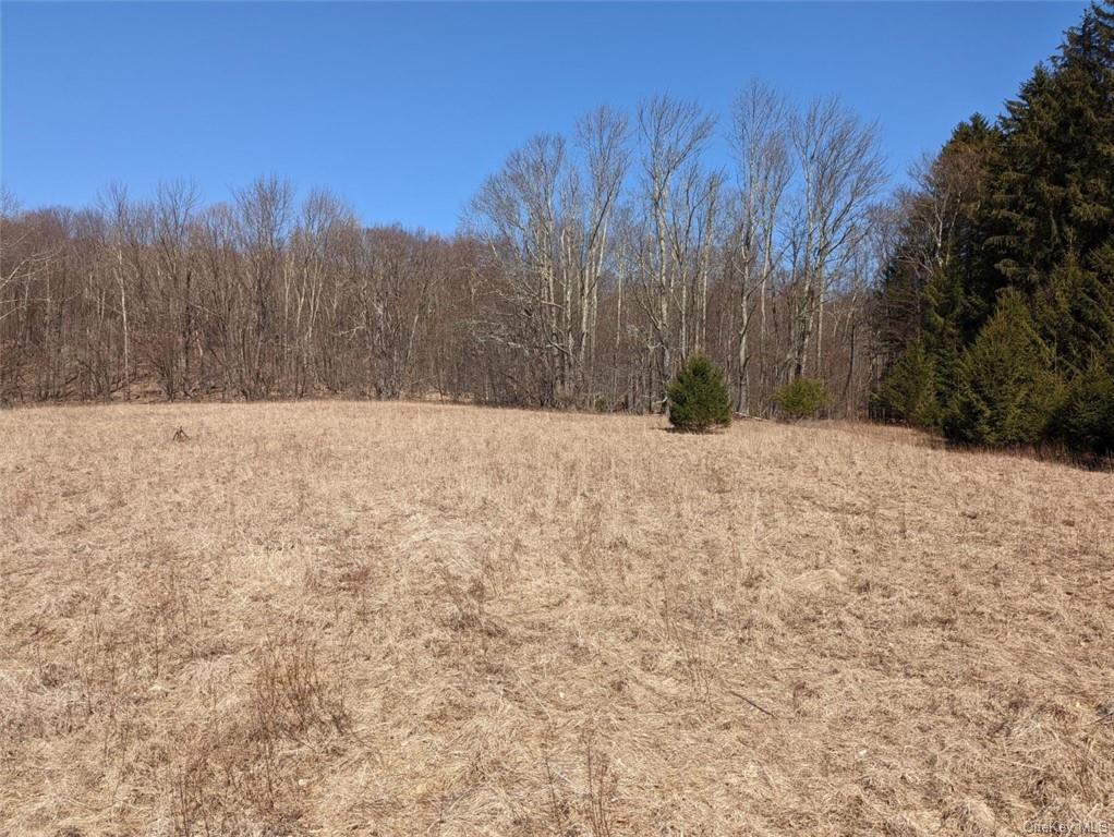 Land 0 Buck Brook Rd Tr10  Sullivan, NY 12736, MLS-H6172755-13