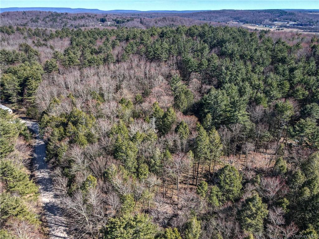 Land Beaver Lane Tr 166  Sullivan, NY 12733, MLS-H6242756-13